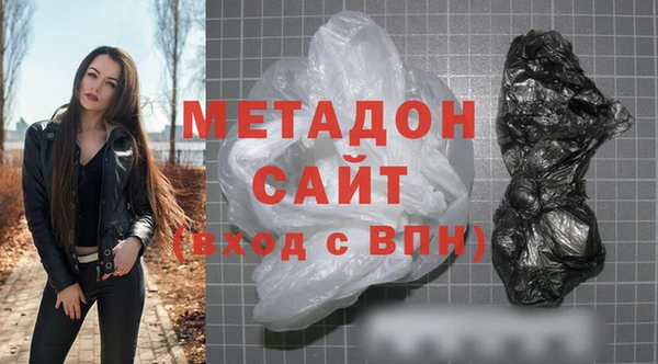 прущие грибы Абаза