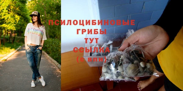 эйфоретик Алексин