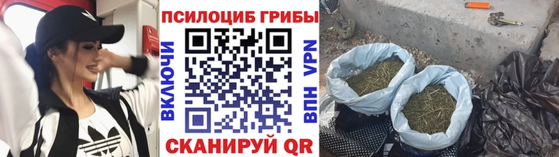 Галлюциногенные грибы Psilocybe  наркотики  Ангарск 