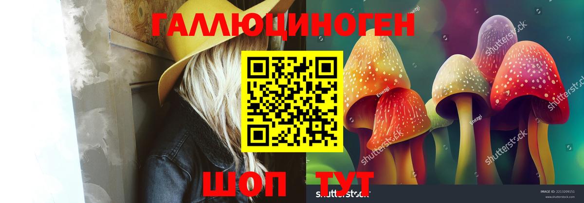 Псилоцибиновые грибы Psilocybe  Вход с VPN  Ангарск 